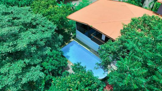 cebadilla , Orotina Orotina, Alajuela 00001, Costa Rica