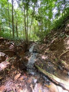 Playa Herradura Jacó Garabito, Puntarenas 61101, Costa Rica