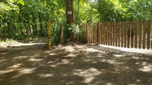 Playa Herradura Jacó Garabito, Puntarenas 61101, Costa Rica