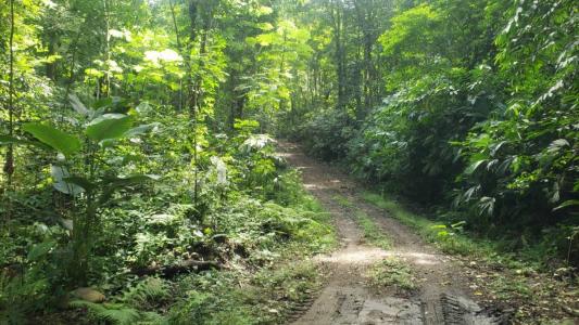 Playa Herradura Jacó Garabito, Puntarenas 61101, Costa Rica