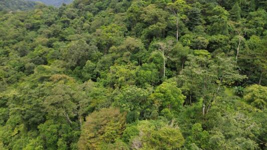 Turrialba Turrialba, 卡塔戈 30508, 哥斯達尼加