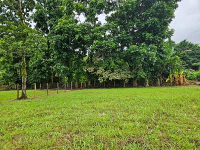 Fortuna San Carlos, Alajuela 21007, Costa Rica