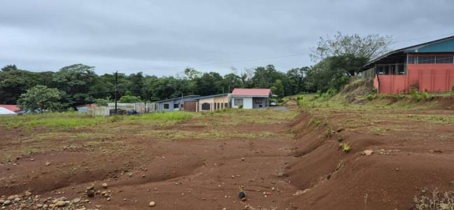 Florencia San Carlos, 阿拉胡埃拉 00001, 哥斯达黎加