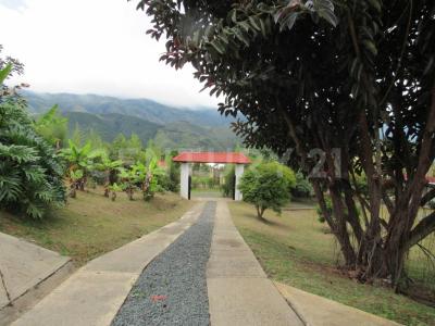 Dagua, Valle Del Cauca 00001, Colombia