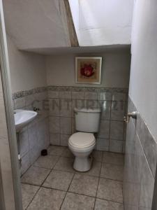 Av. Loreto , Piura, Piura 00001, Peru