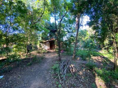 Barrio numero 3 , Pirayú, Paraguarí 00001, 巴拉圭