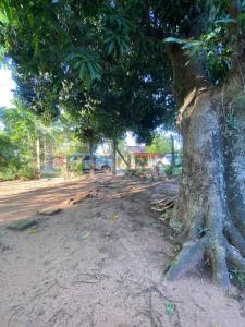 Barrio numero 3 , Pirayú, Paraguarí 00001, 巴拉圭