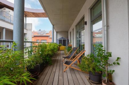 rue du grand Pré 24, Sint-agatha-berchem, Belgium