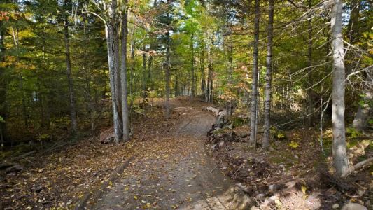 137  Ch. du Lac-Murray, Otter Lake, Quebec J0X 1P0, Canada