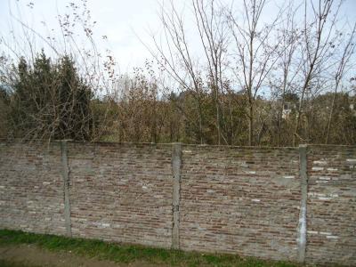 TERRY S/N, Merlo, GBA Oeste 00001, Argentina