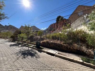 Urbanización Los Sauces, Rinconada , La Paz, La Paz 00001, Bolivia