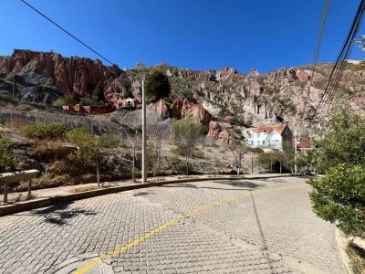 Urbanización Los Sauces, Rinconada , La Paz, La Paz 00001, 玻利维亚