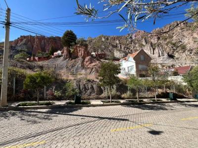 Urbanización Los Sauces, Rinconada , La Paz, La Paz 00001, 玻利维亚