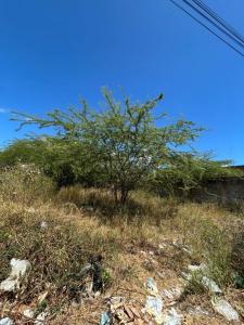 Porlamar, Nueva Esparta 6301, Venezuela