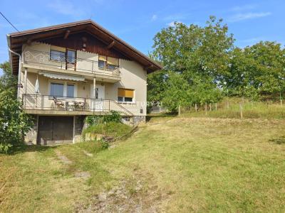 Puconci, Puconci, Pomurska 9201, 斯洛文尼亚