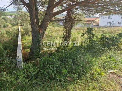 Bibinje, Bibinje, Zadarska Županija, קרואטיה