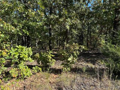 W Shady Lane, Fort Gibson, Oklahoma 74434, USA