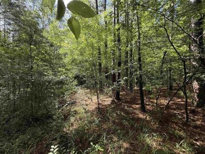 TBD CR 4194 Tract 1, Henderson, Texas 75654, Estados Unidos