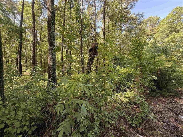 TBD CR 4194 Tract 2, Henderson, Texas 75654, États-Unis