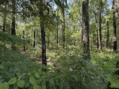 TBD CR 4194 Tract 2, Henderson, Texas 75654, États-Unis