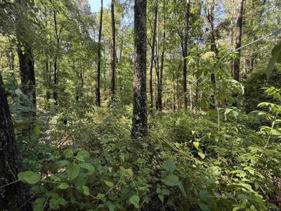 TBD CR 4194 Tract 2, Henderson, Texas 75654, États-Unis