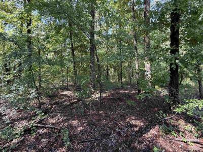 TBD CR 4194 Tract 3, Henderson, Texas 75654, États-Unis