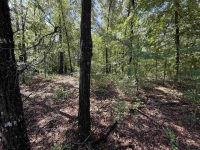 TBD CR 4194 Tract 3, Henderson, Texas 75654, États-Unis