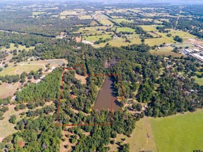 000 Private Road 6964, Alba, تكساس 75410, الولايات المتحدة