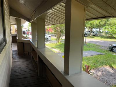 2525 Emma Cr., Tampa, Florida 33614