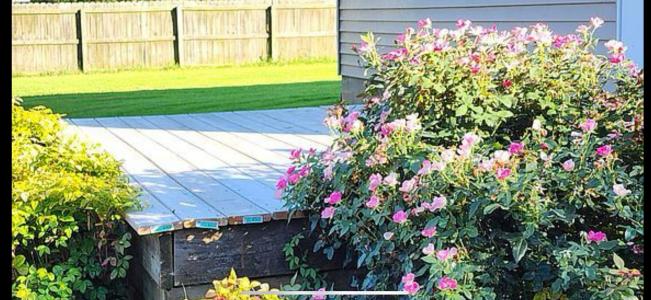 65/67 Magnolia Rd, Tiptonville, Tennessee 38079, Estados Unidos