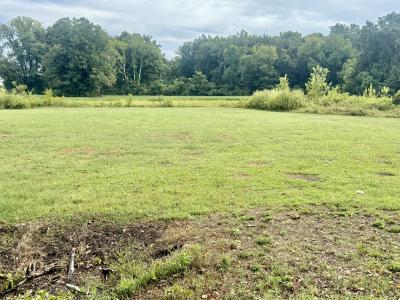 Magnolia Rd, Tiptonville, テネシー 38079, アメリカ合衆国