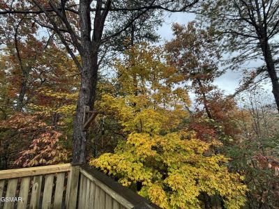 317 Matterhorn Drive, Gatlinburg, Tennessee 37738