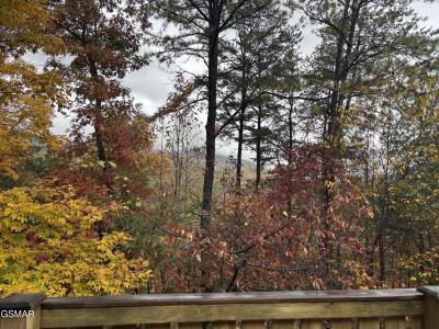 317 Matterhorn Drive, Gatlinburg, Tennessee 37738