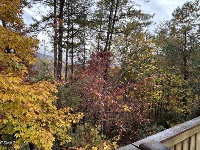 317 Matterhorn Drive, Gatlinburg, Tennessee 37738