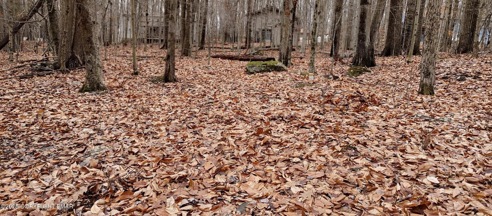 164 Mountain View Dr #1007, Pocono Lake, بنسلفانيا 18347, الولايات المتحدة