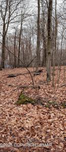 164 Mountain View Dr #1007, Pocono Lake, بنسلفانيا 18347, الولايات المتحدة