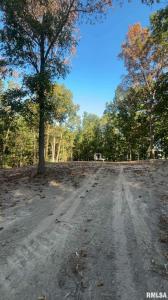 16154 N HICKORY Lane, Woodlawn, Illinois 62898