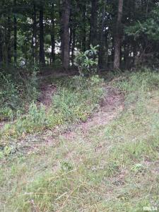 16154 N HICKORY Lane, Woodlawn, Illinois 62898