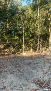 16154 N HICKORY Lane, Woodlawn, Illinois 62898