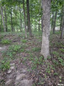 16154 N HICKORY Lane, Woodlawn, Illinois 62898