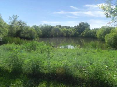 32260 THEODORE Rd, California, Missouri 65018, Stati Uniti