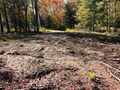 00 Duck Pond Road, Barton, Vermont 05822, Stati Uniti