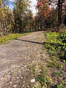 00 Duck Pond Road, Barton, Vermont 05822, Stati Uniti