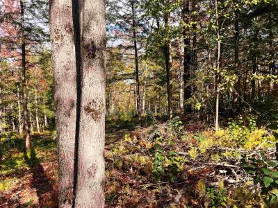 00 Duck Pond Road, Barton, Vermont 05822, Stati Uniti