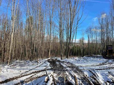 002 Duck Pond Road Lot #2, Barton, Vermont 05822, Stati Uniti