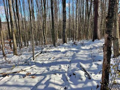 001 Duck Pond Road Lot #1, Barton, Vermont 05822, Amerika Birleşik Devletleri