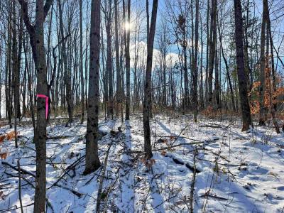 001 Duck Pond Road Lot #1, Barton, Vermont 05822, Amerika Birleşik Devletleri