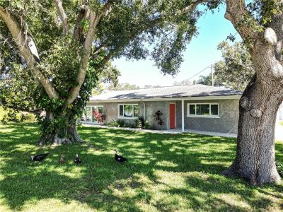 10517 BLOSSOM LAKE DRIVE, SEMINOLE, 佛羅里達州 33772, 美國