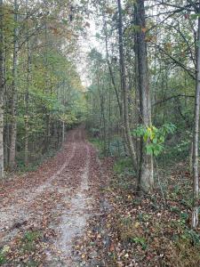 7.72 Ac 660 County Road 724, Bryant, Alabama 35958