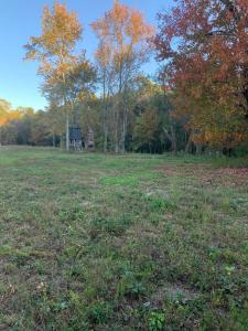 7.72 Ac 660 County Road 724, Bryant, Alabama 35958, Estados Unidos